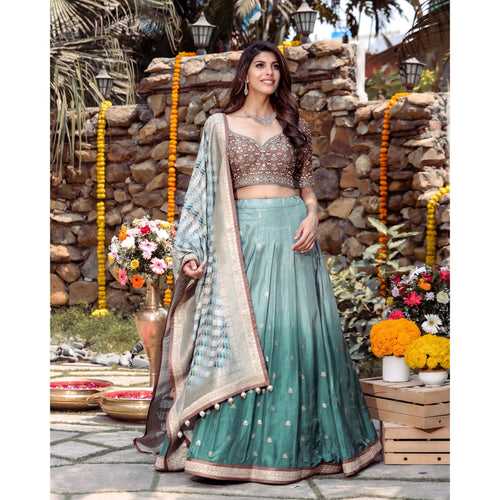 Sea Green Brown Banarasi Lehenga Set