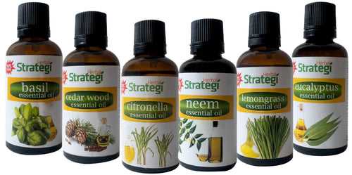 Natural Essential Oils (Pack of 6)