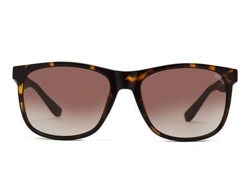 Sunkist Sunglass 2006