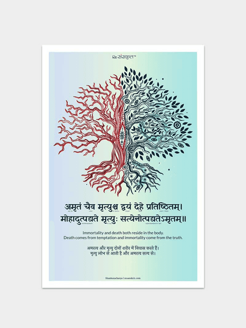 Adi Shakaracharya Sanskrit Shlok Poster