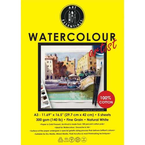 Art Essentials Artist Watercolour Paper Cold Pressed,100% Cotton,300GSM,-Poly Pack(Loose)