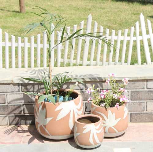 Wonderland Set of 3 cutwork peach Imported ceramic pots for exterior/ Outdoor