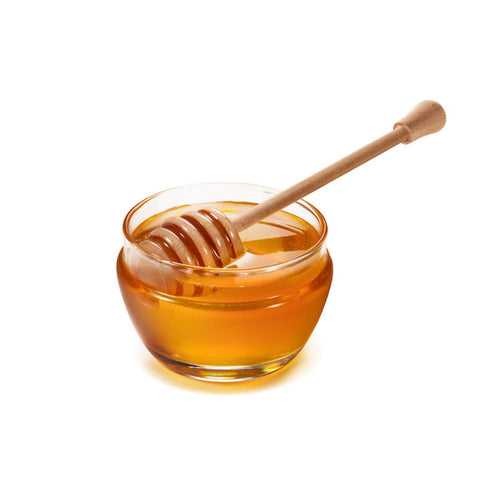 Raw Forest Honey 500ml