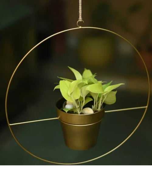 Round Metal Hanging Planter in Gold Finish