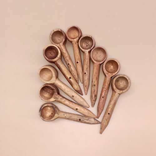 Salt & Spice Spoon set of 10