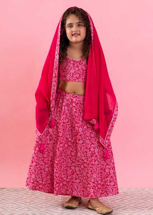 Pink Printed Lehnga Set