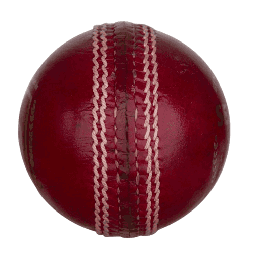 Cricket Leather Balls (Set of 12)