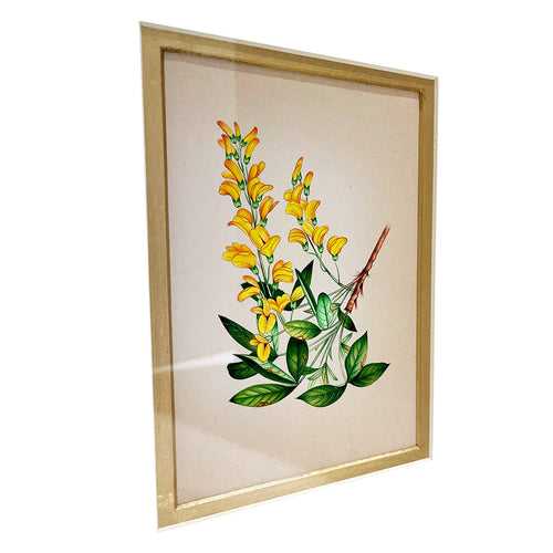 Scotch Broom Metal Framed Floral Artwork Painting