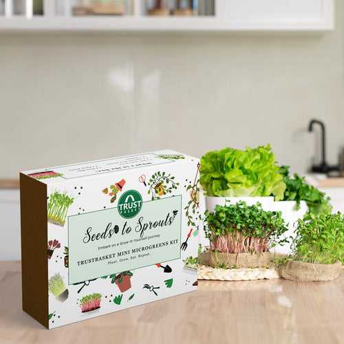 Seeds To Sprouts Microgreens Kit