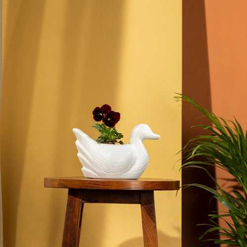 TrustBasket Duck Pot