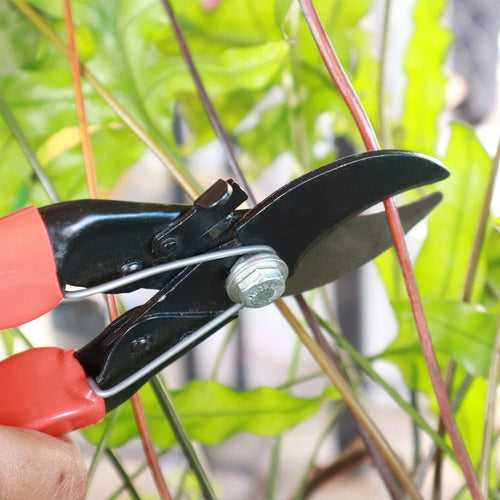 TrustBasket Double cut garden secateurs