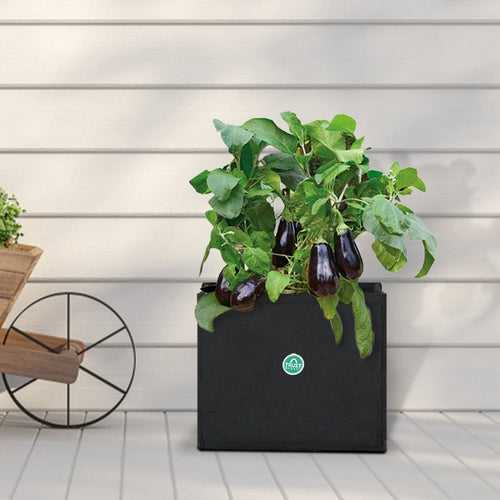 Riona Square Felt Grow bag