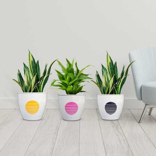 TrustBasket Fioni Planter (Set of 3)