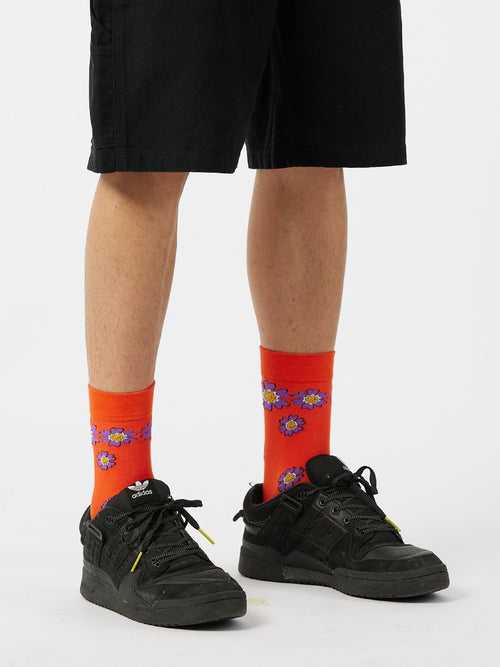 Pack of 2 Socks