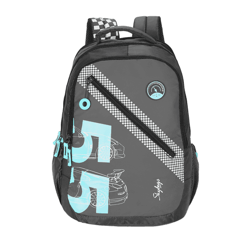 Skybags Riddle 3 "School Bp"