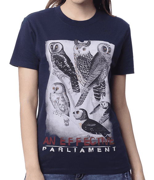 Effective Parliament Owl
