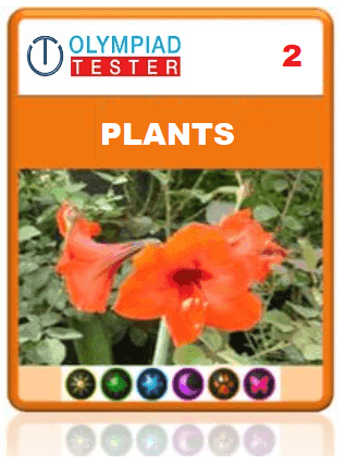 OLYMPIADTESTER CERTIFIED STUDENT EXAM (OCS) - CLASS 2 SCIENCE - PLANTS