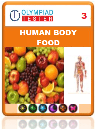 OLYMPIADTESTER CERTIFIED STUDENT EXAM (OCS) - CLASS 3 SCIENCE - HUMAN BODY AND FOOD
