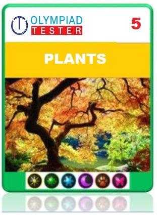 OLYMPIADTESTER CERTIFIED STUDENT EXAM (OCS) - CLASS 5 SCIENCE - PLANTS