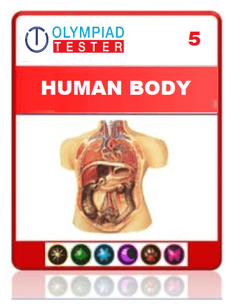 GLOBAL SCHOOLS ASSESSMENT - GRADE 5 SCIENCE - HUMAN BODY AND FOOD