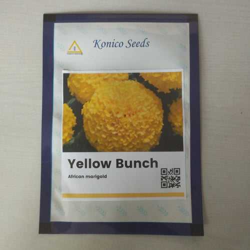 Yellow Bunch Kolkata Type Marigold (Konico Seeds)