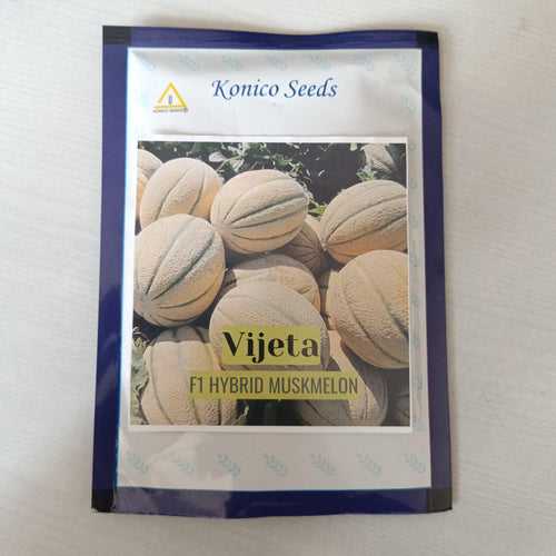 Vijeta Hybrid F1 Muskmelon (Konico Seeds)