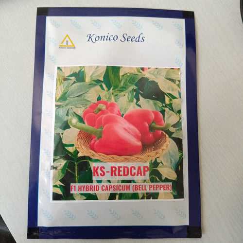 KS-REDCAP Capsicum F1 Hybrid Bell Pepper (Konico Seeds)