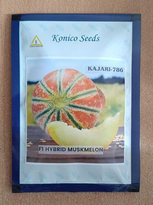 Kajari 786 Hybrid F1 Muskmelon (Konico Seeds)