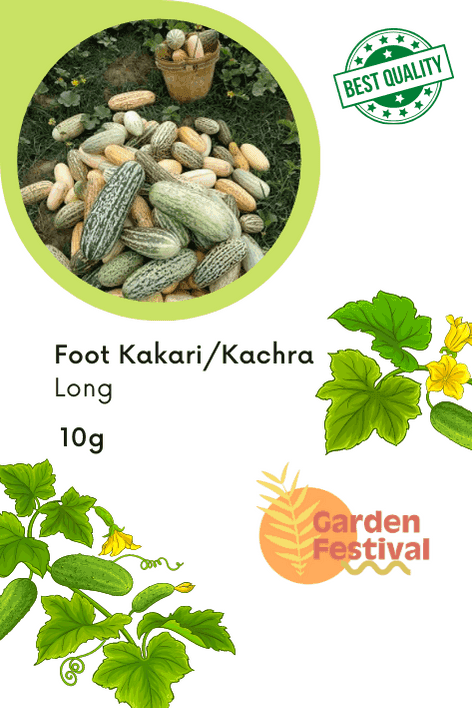 Foot Kachari/Kakri Long Quality Fruit Seeds (Garden Festival)