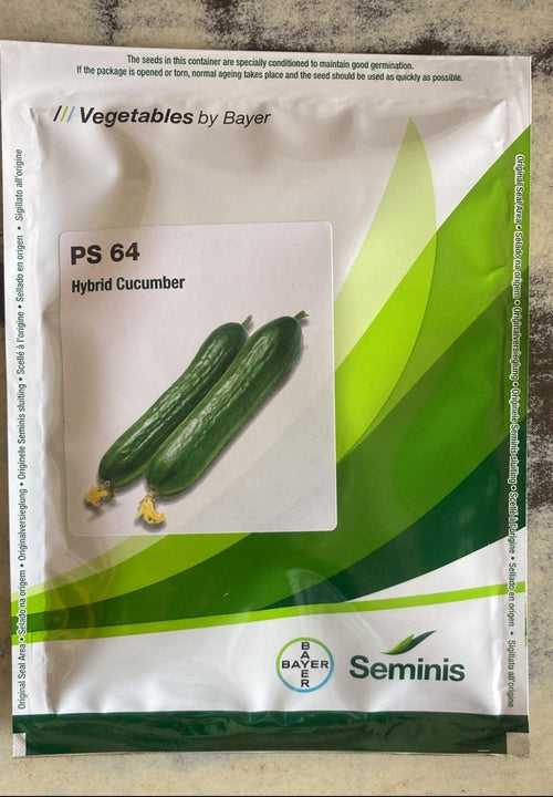 PS 64 F1 Cucumber Seeds (Seminis)