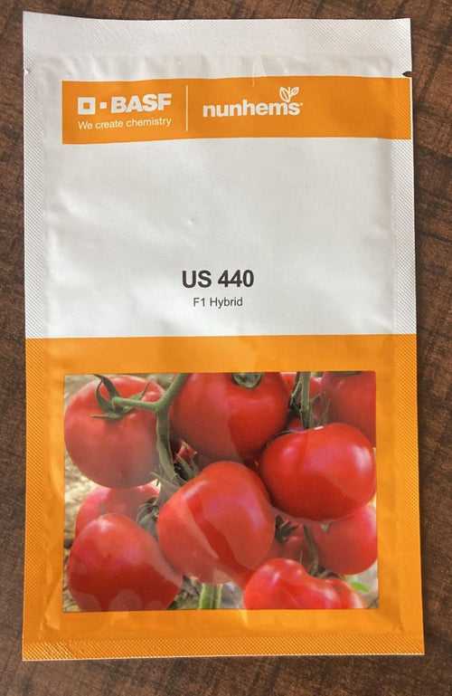 US 440 F1 Hybrid Tomato (BASF | Nunhems)