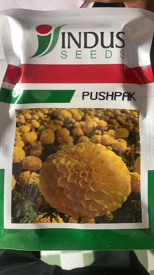 Pushpak F1 Yellow Marigold (Indus Seeds)