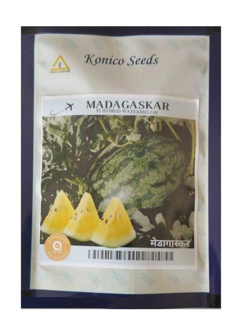 Madagaskar F1 Yellow Flesh Hybrid watermelon (Konico seeds)