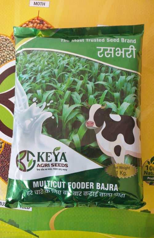 Rasbhari  Multicut Fodder Bajra (Keya Gold)