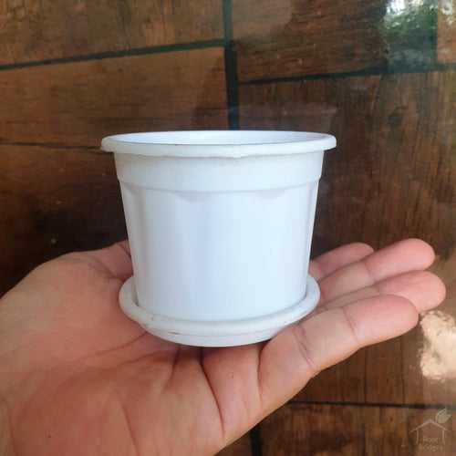 3" White Pot with Plate