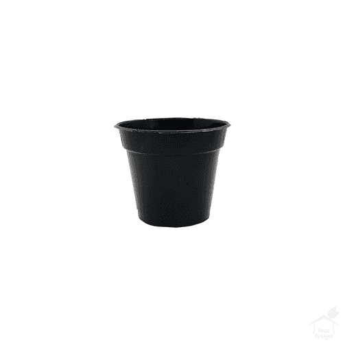 4" Nursery Plastic Pot