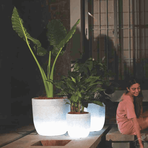 Illuminated Milano Planter