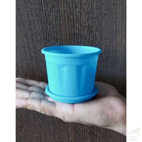 3" Blue Pot with Plate