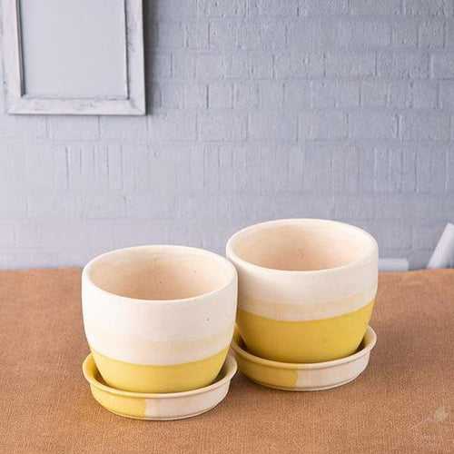 3.7" Yellow, White Egg Ceramic Pot with Plate - 1 Pot