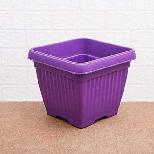 10" Purple Bello Square Pot
