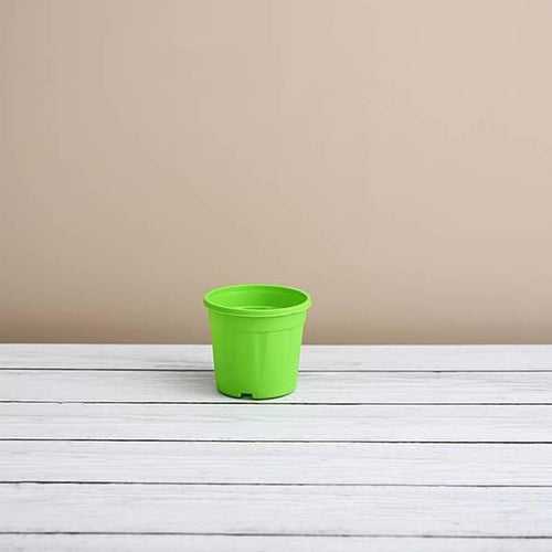 2.5" Green Grower Pot