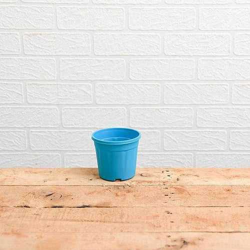 2.5" Blue Grower Pot