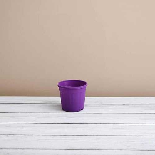 2.5" Purple Grower Pot