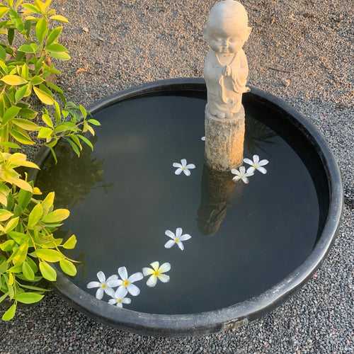 Lotus Pots- Enhance Your Water Garden with Exquisite Planters