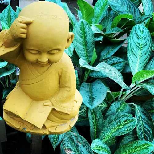 Buy thinking baby Buddha monk idol  statue online.