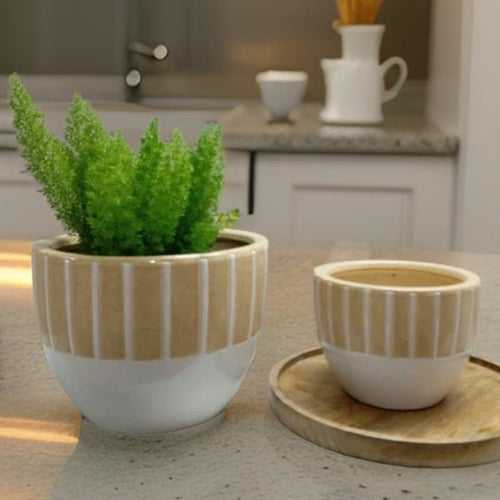 Ceramic pots in Chennai Style - Stylish planters