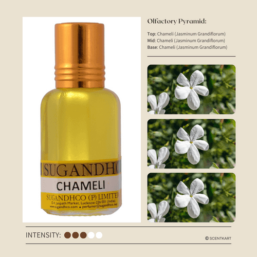 Chameli | Jasminum Grandiflorum | Attar 10ml