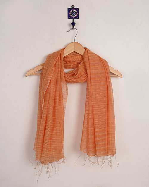 Stripes Woven Bhagalpuri Tussar Silk Stole