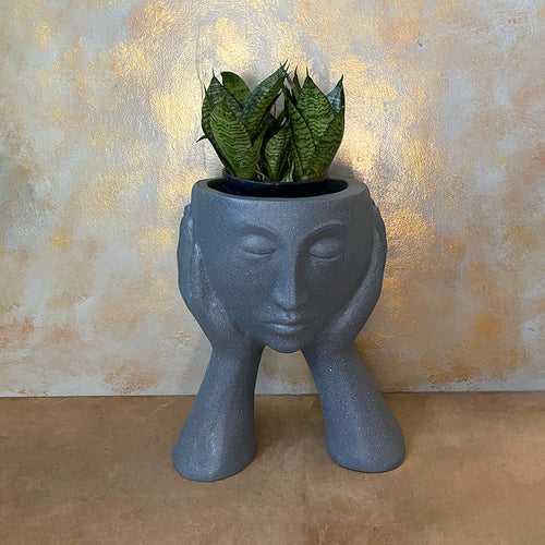 Two Hands on Face Planter