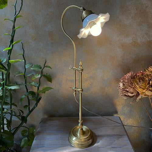 Adjustable Brass Mitra Table Lamp